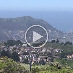 Pacifica Overview
