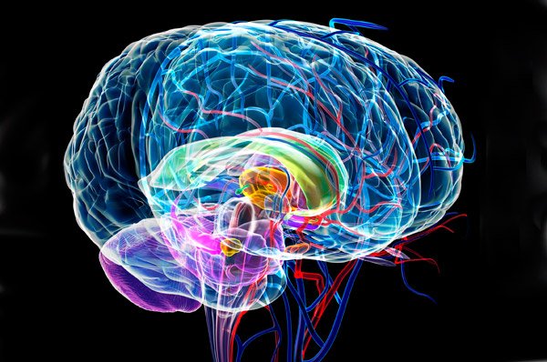 brain-hologram_invest-in-health-minds_11-11-22