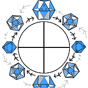 Rodin Fibonacci Jitterbug Flow Chart