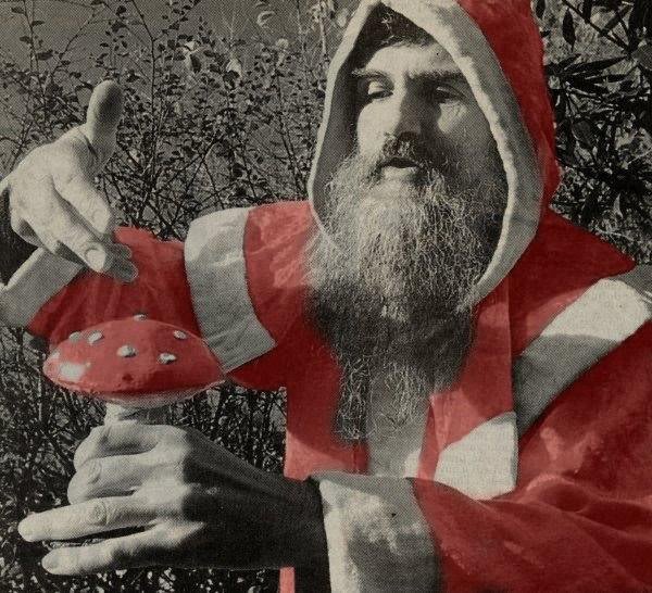 santa with mushroom