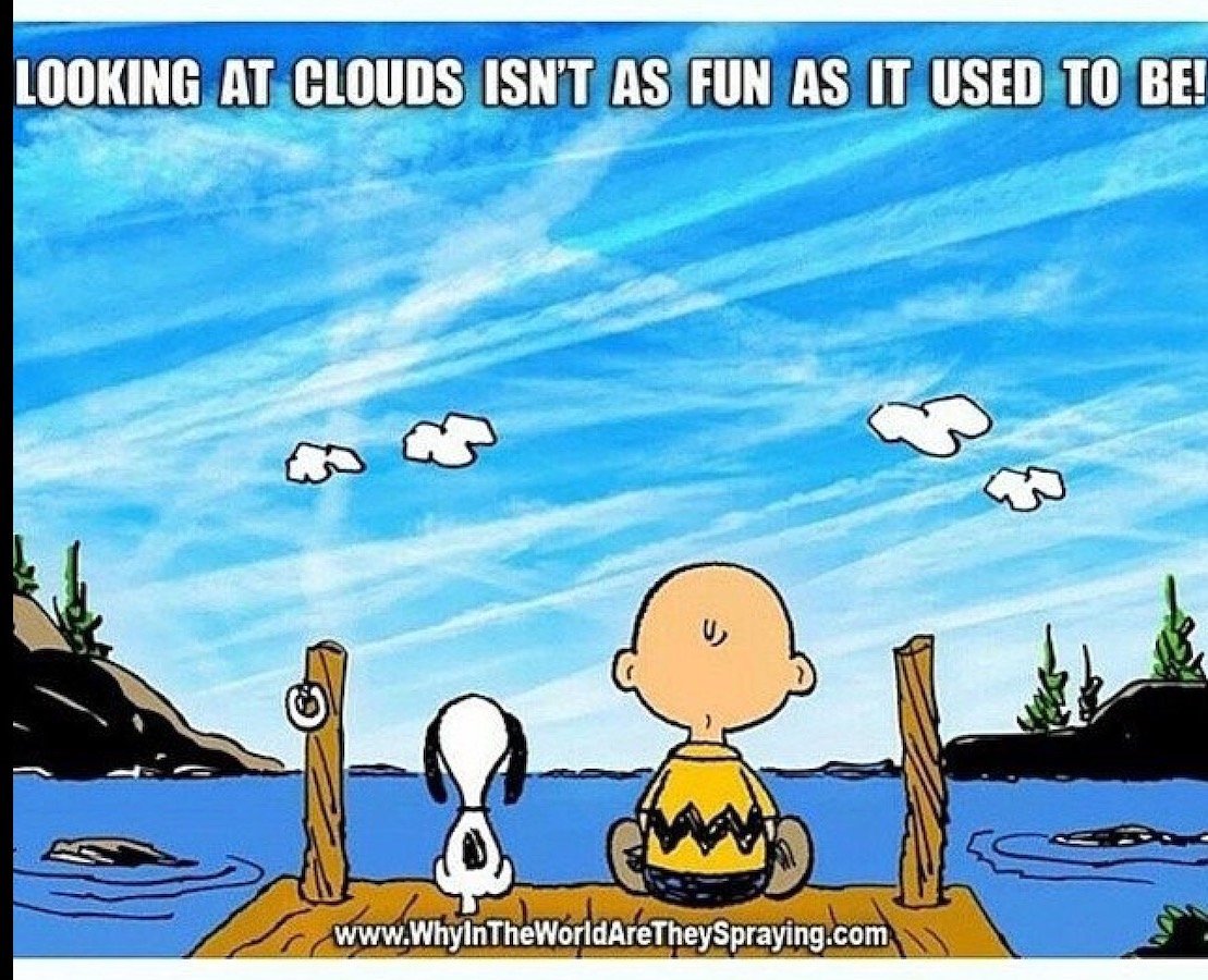 snoopy's skys