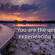 universe experiencing itself