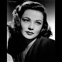 Gene Tierney